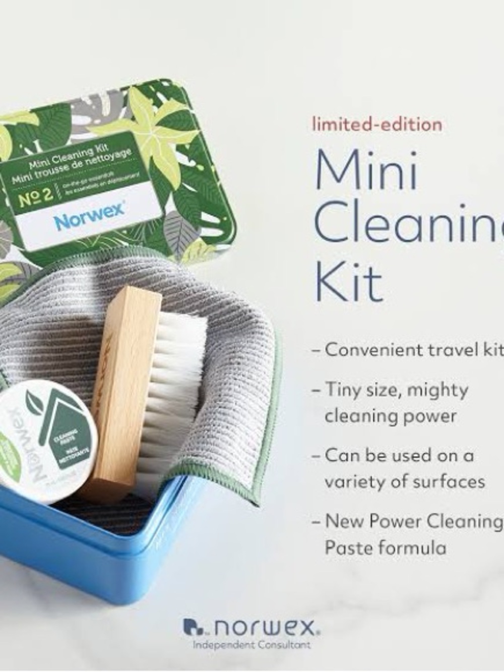 Norwex Mini Cleaning Kit